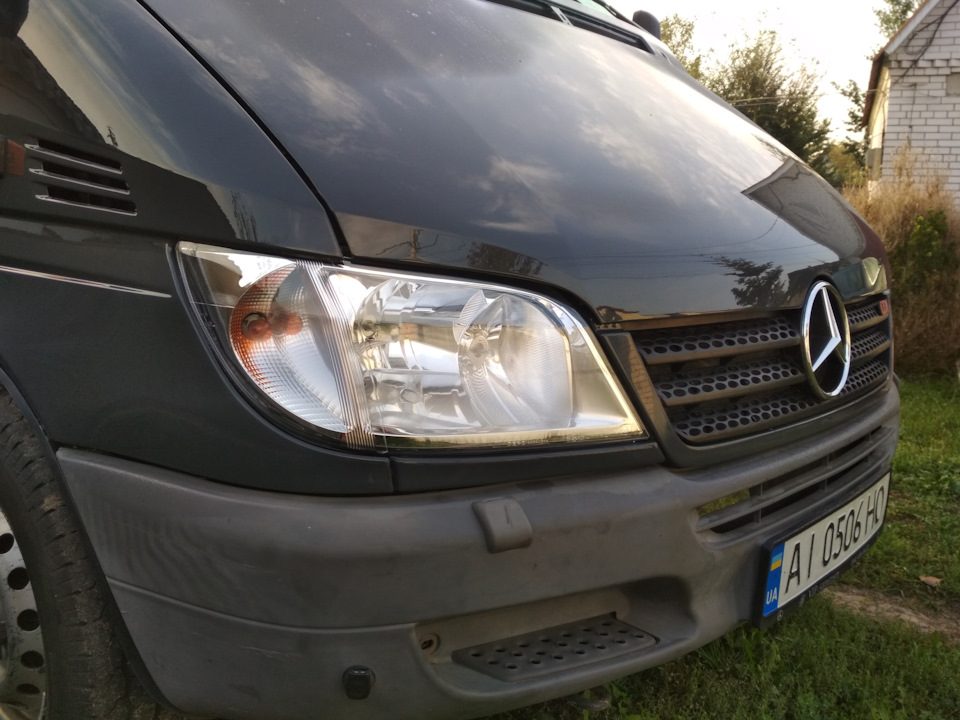 Нова мордочка 😍🇩🇪🚐💨 2