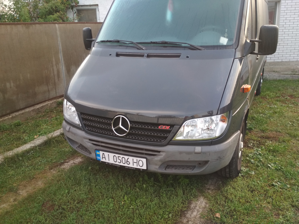 Нова мордочка 😍🇩🇪🚐💨 4