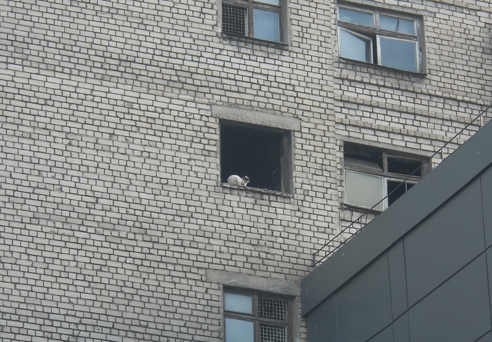 Обновочки 5