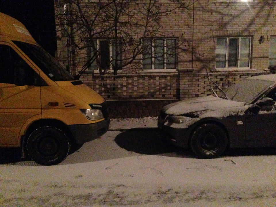 Самець 2