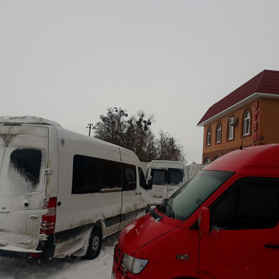 Білий полон !Від 25.12.18г. 4