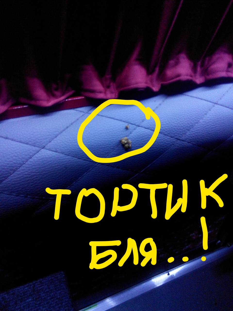 ,, Сивини мені в голову, , , валідол, , під язик!.., , 1