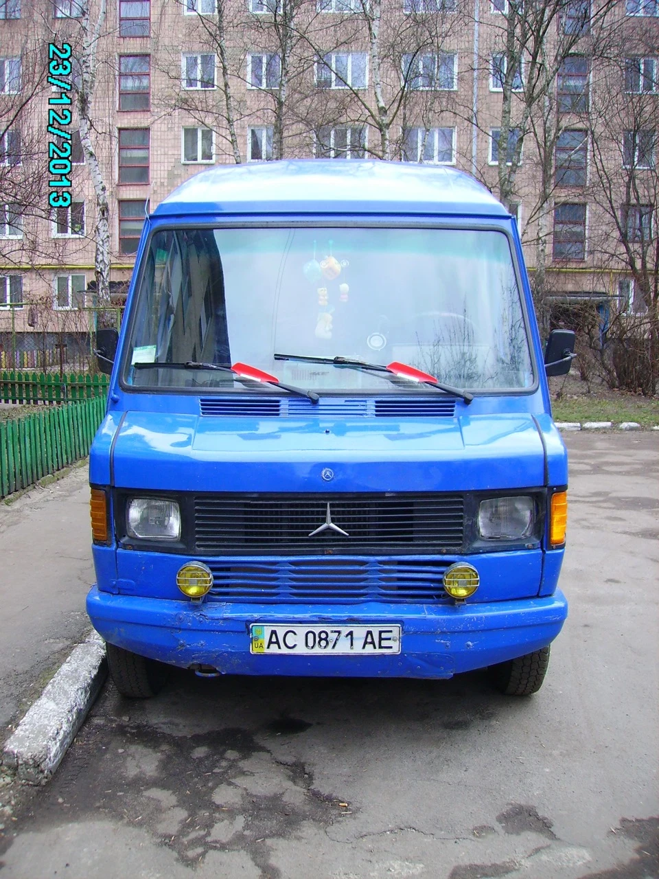 фото мого дракоші