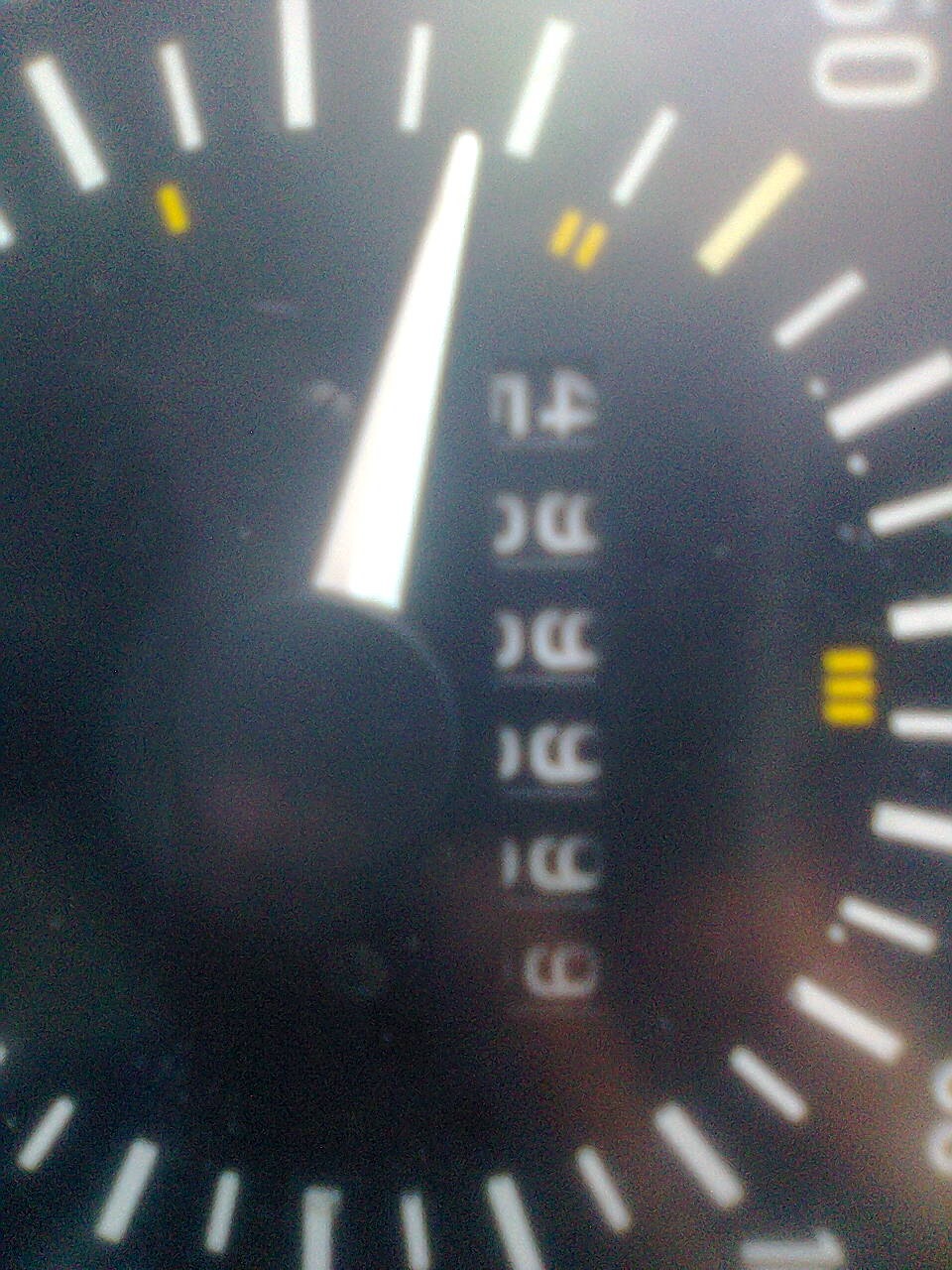 з життя дракоші 5