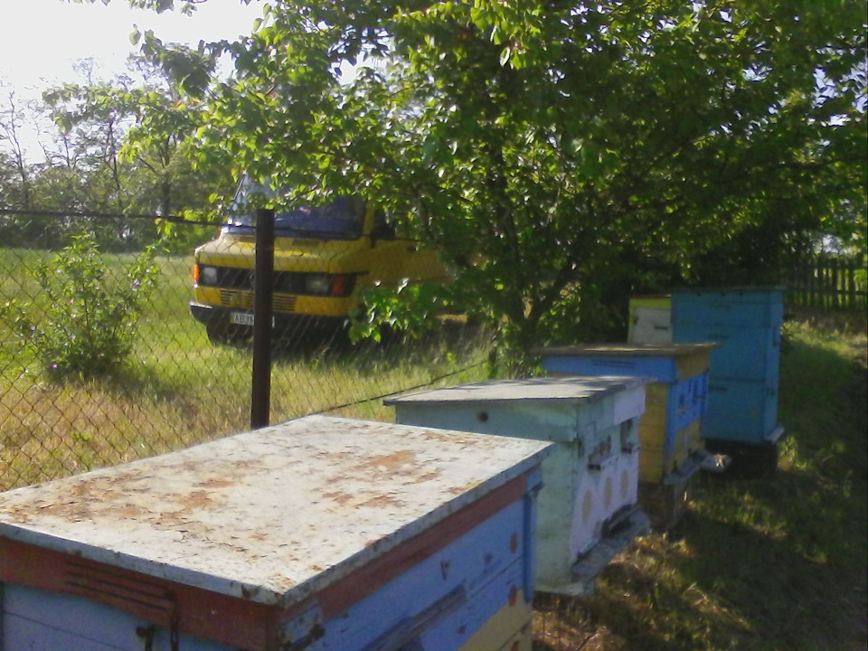 На пасіці 4