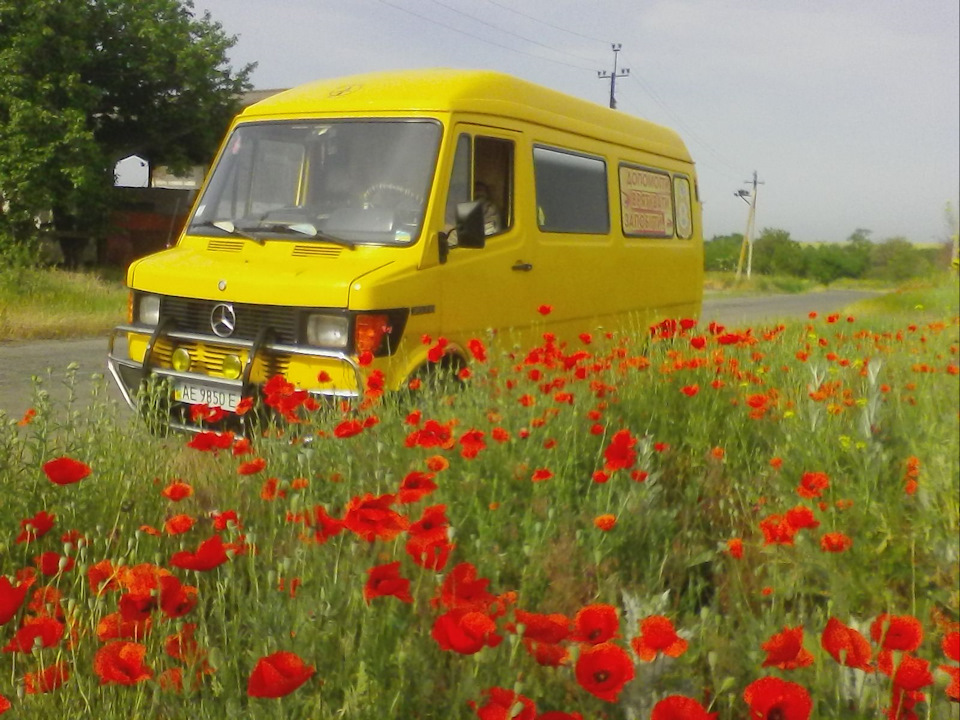 Відбирав у працьовитих Бджілок МЕД! 4