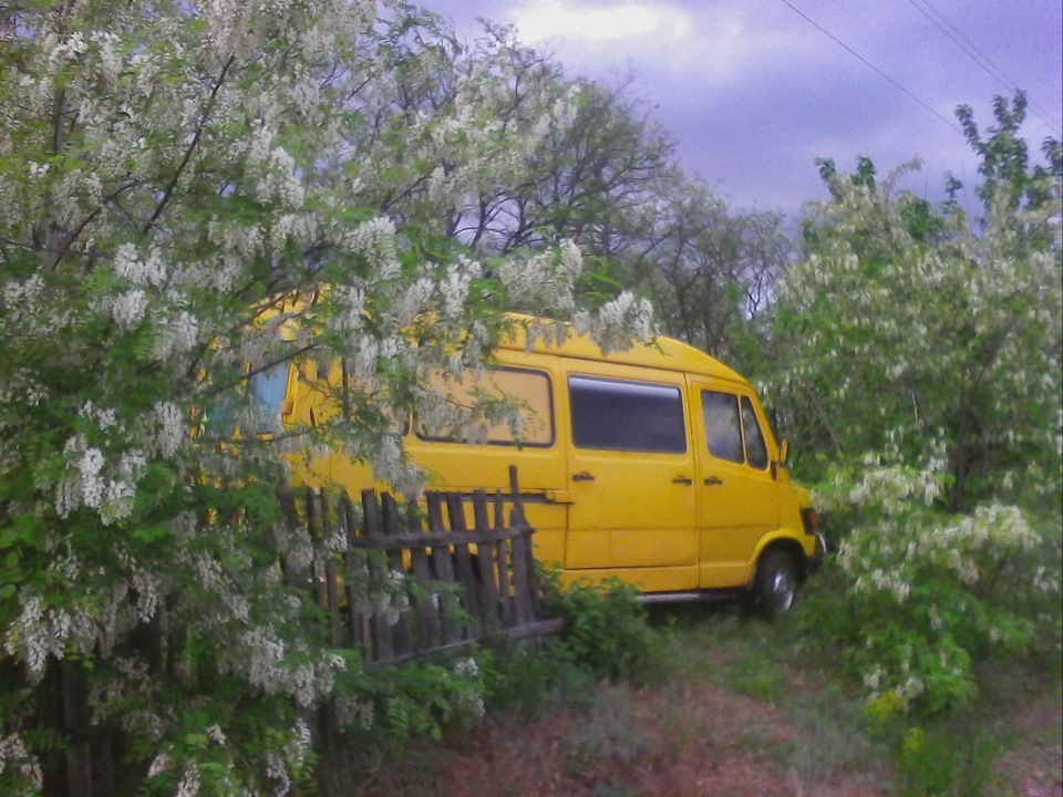 Зацвіла Акація ... буде Мед. 1