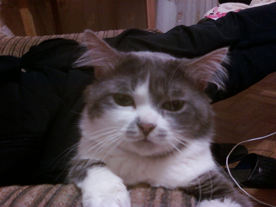 Воздух… 5