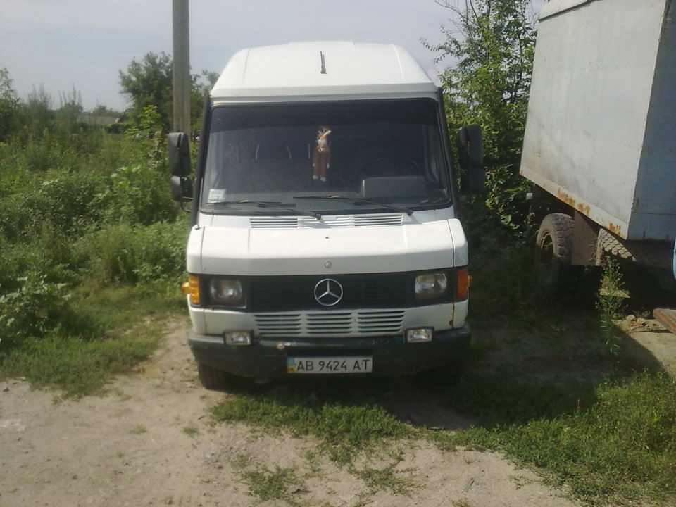 продаю мурзика 2