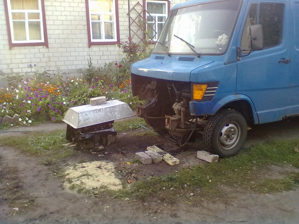 Відродження 5