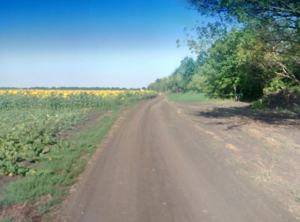 пекельна спека або 1500 км пройдено 5