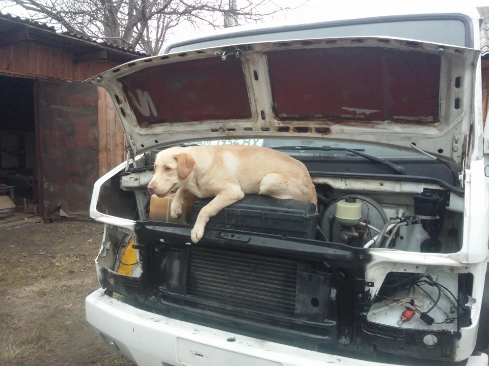 Під капотом як новий авто:) 5