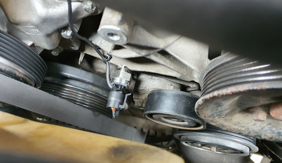 Показометр тиску масла. Симпатичний махровий Китай. 2