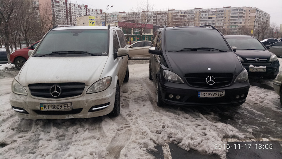 Зустрів такий екземпляр 1