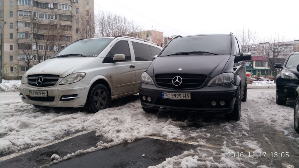 Зустрів такий екземпляр 3