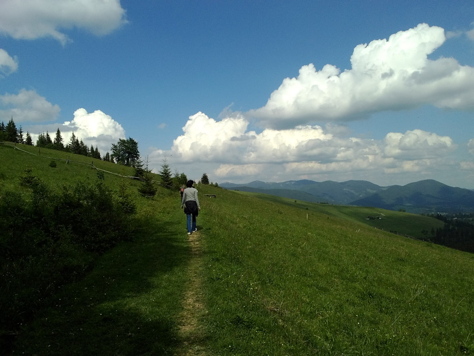 Карпати 5