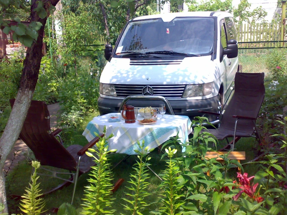 Віток відпочиває ... або Дачна фотосесія