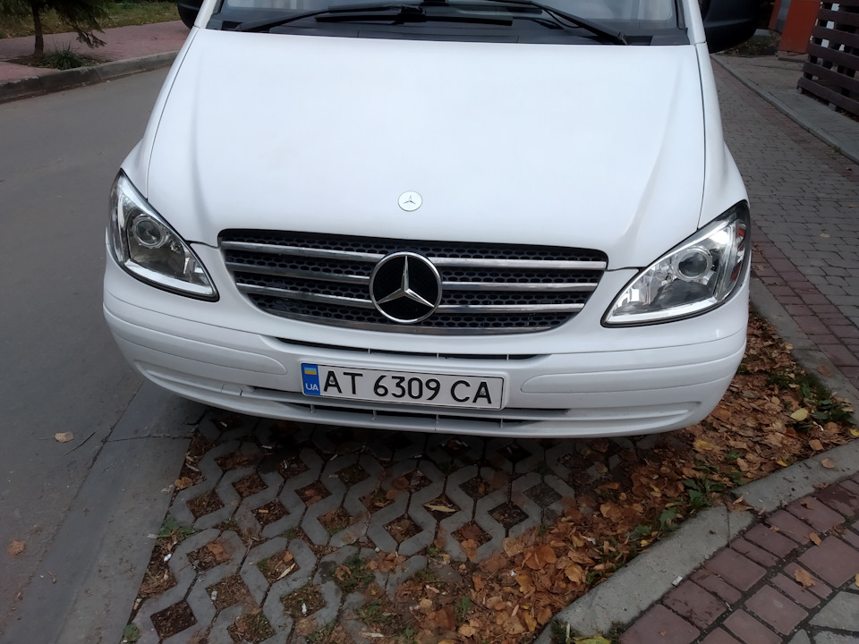Лінзі Vito w639 1