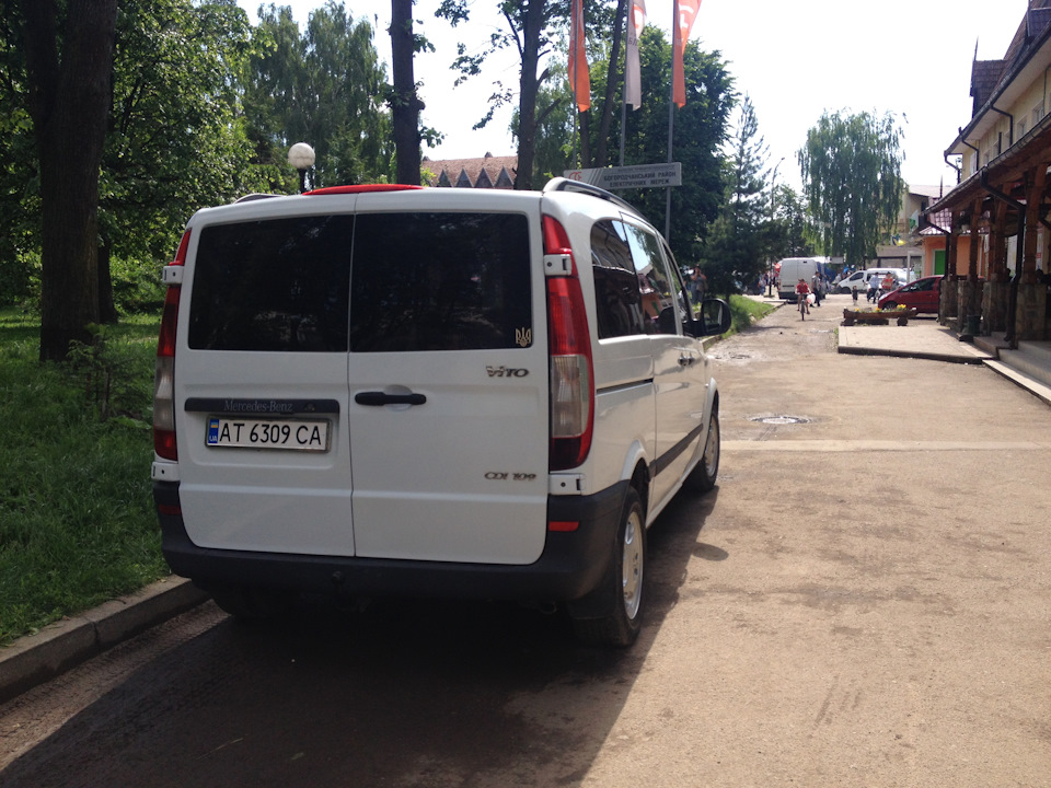 приводжу віто до тями 3
