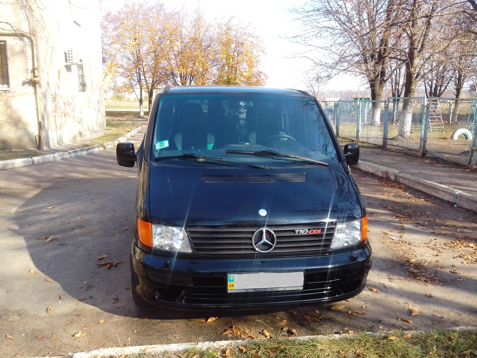Свіжі осінні фотки. Скоро холоду (( 3