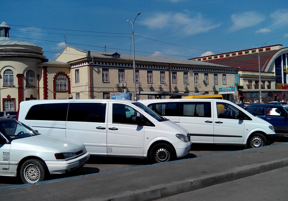 Два білих Extra Long 4
