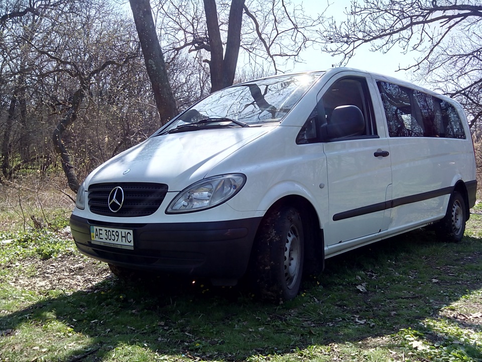 Пофоткався на природі 1