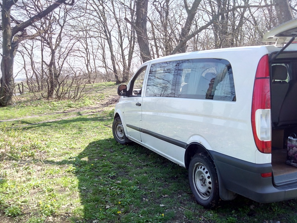 Пофоткався на природі 3