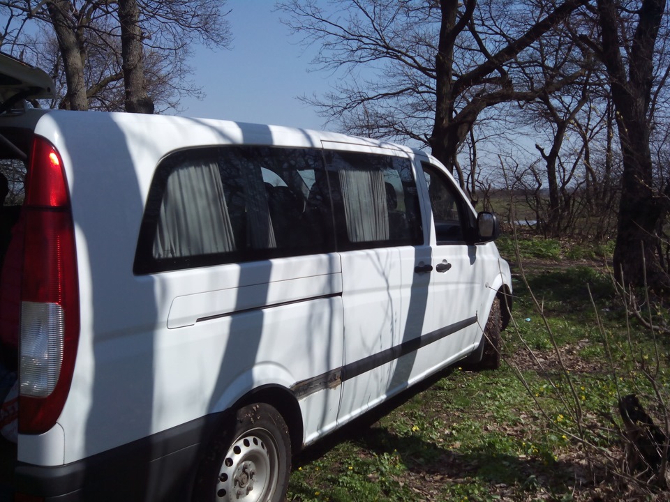Пофоткався на природі 4