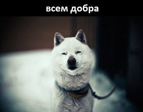 Пряма на шляху до фінішу 4