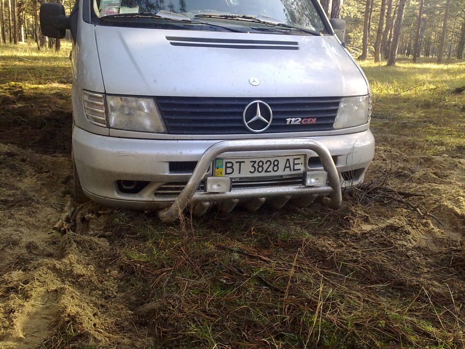 в лес за грибами) 3