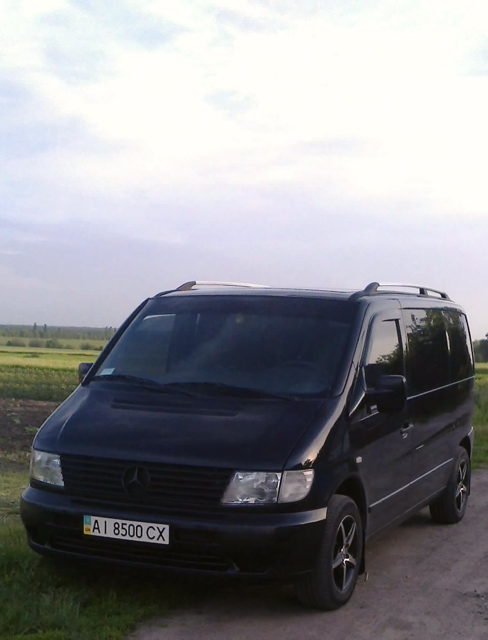 Пара фоток 3