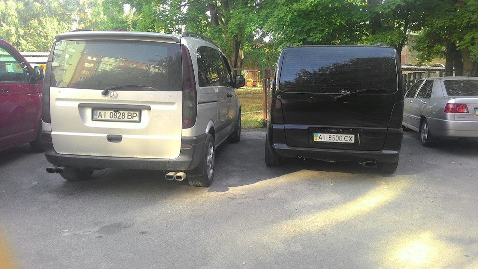 рідний братан 1