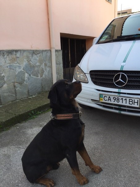 foto mercedes vito 1