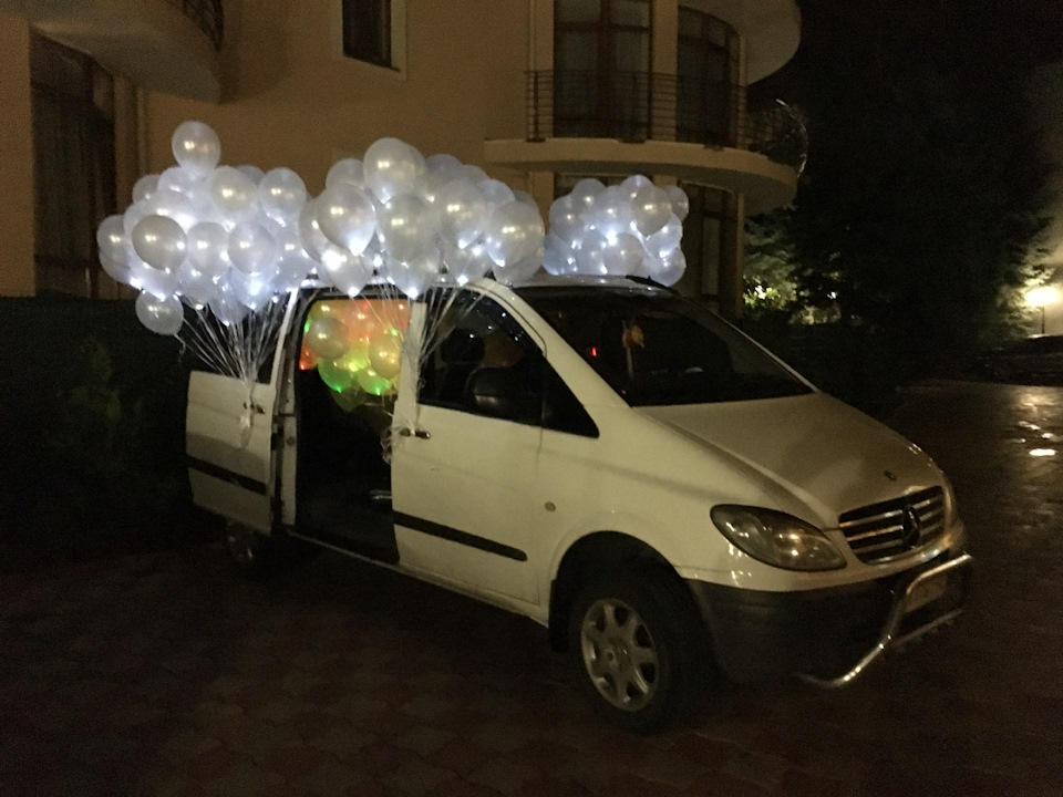 Знову в строю 1