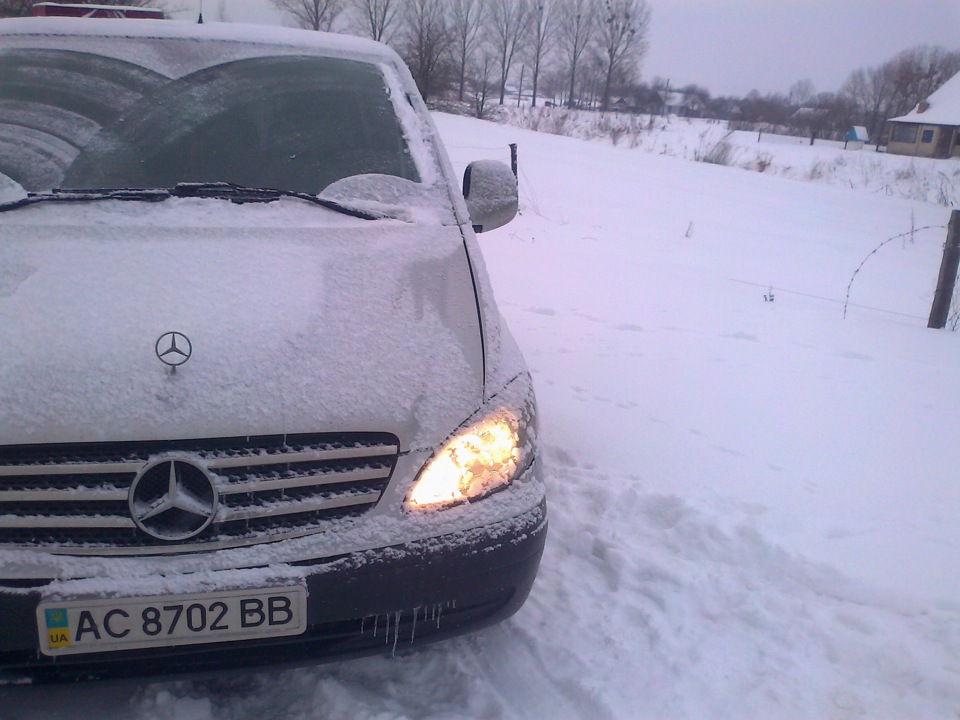 фото свіжі, видон зовні!) як на мене то чіткі)! 3