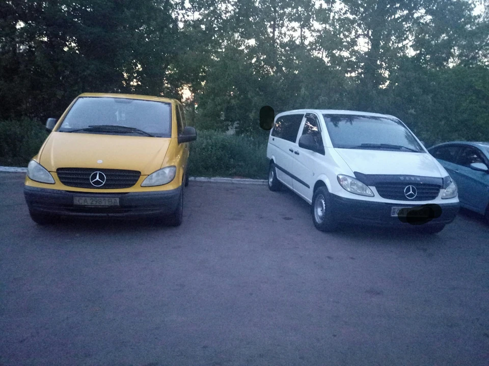 Два брати