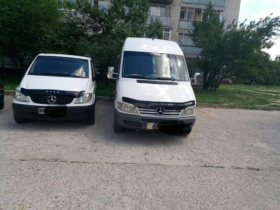 Два брати 2
