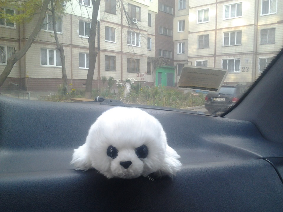 подарунок дружини 1