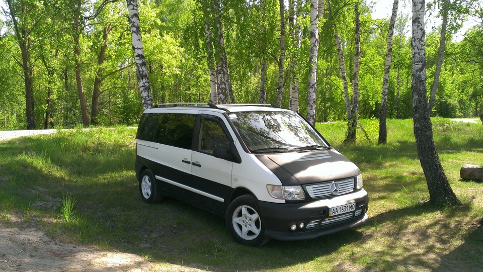 Підберезовик через рік... 2