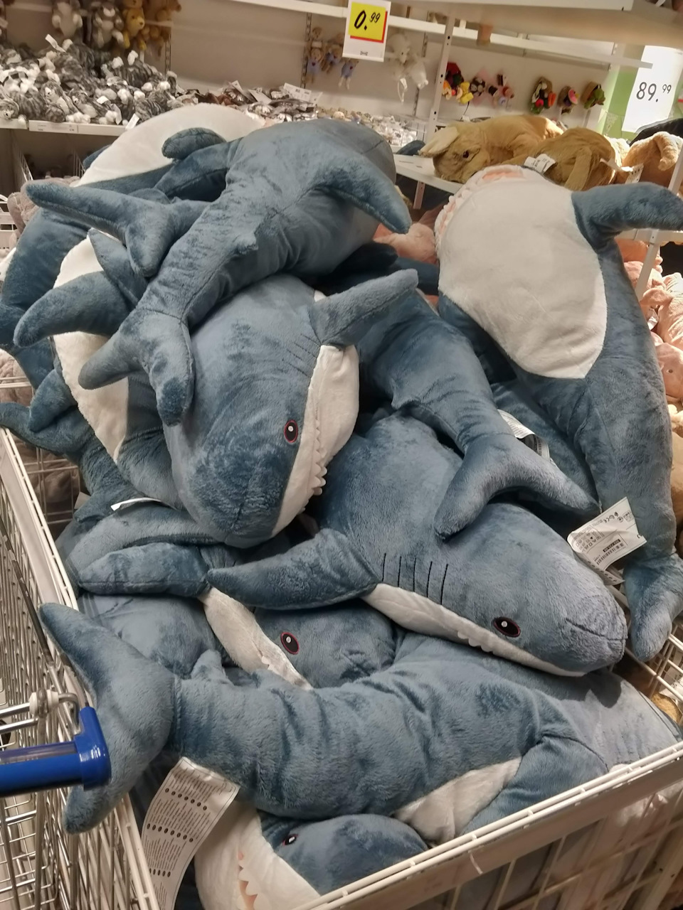 Покупка в Німеччині і чому він 🦈 1