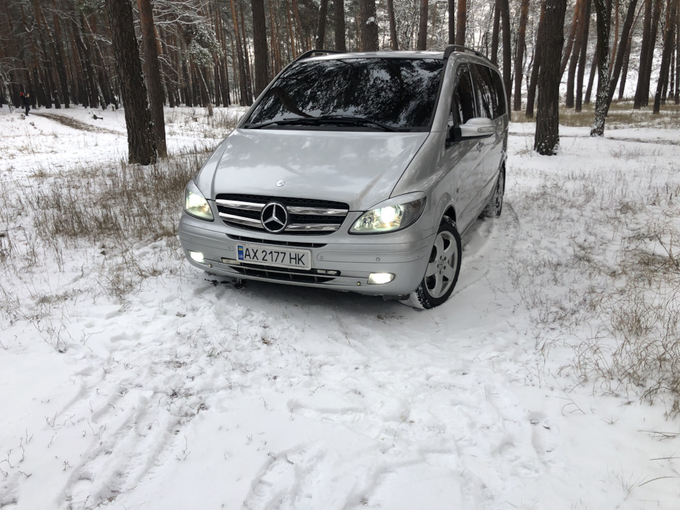 Снігова природа))) 5