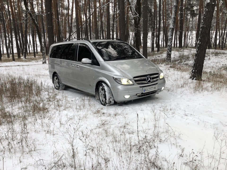 Снігова природа))) 4