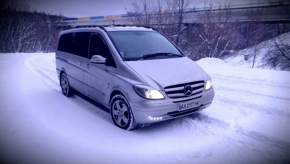 Сніжок))) 1