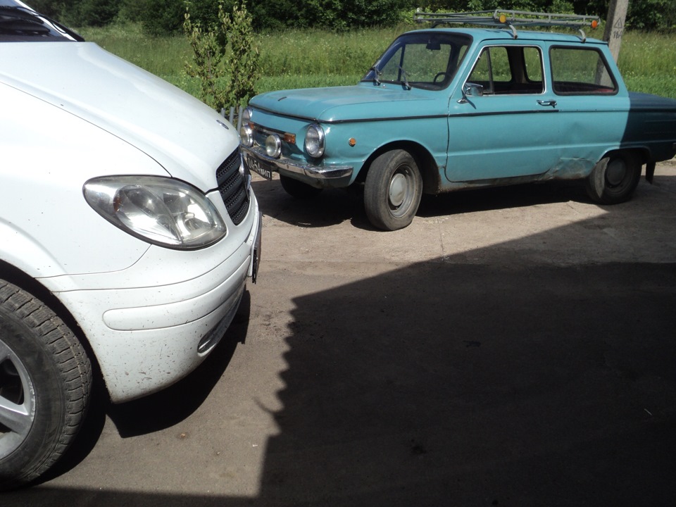 Був у мене такий звір) 2