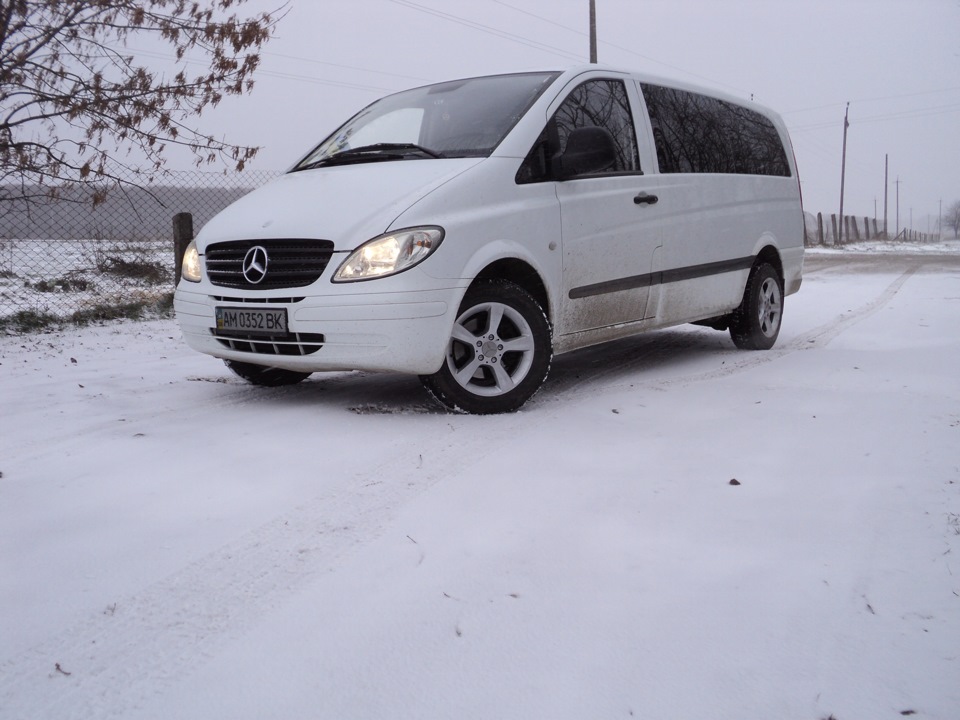 перший сніг 07.12.2013 1