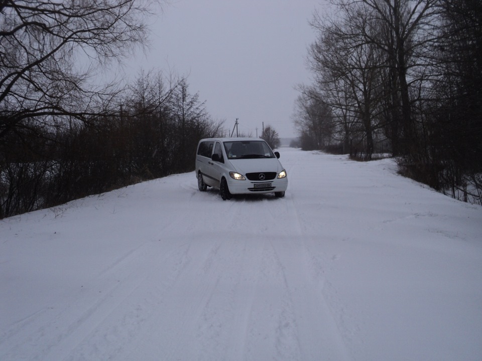перший сніг 07.12.2013 3