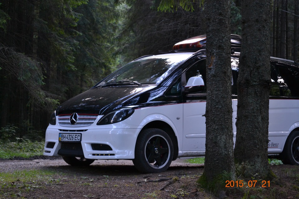 Карпати 5
