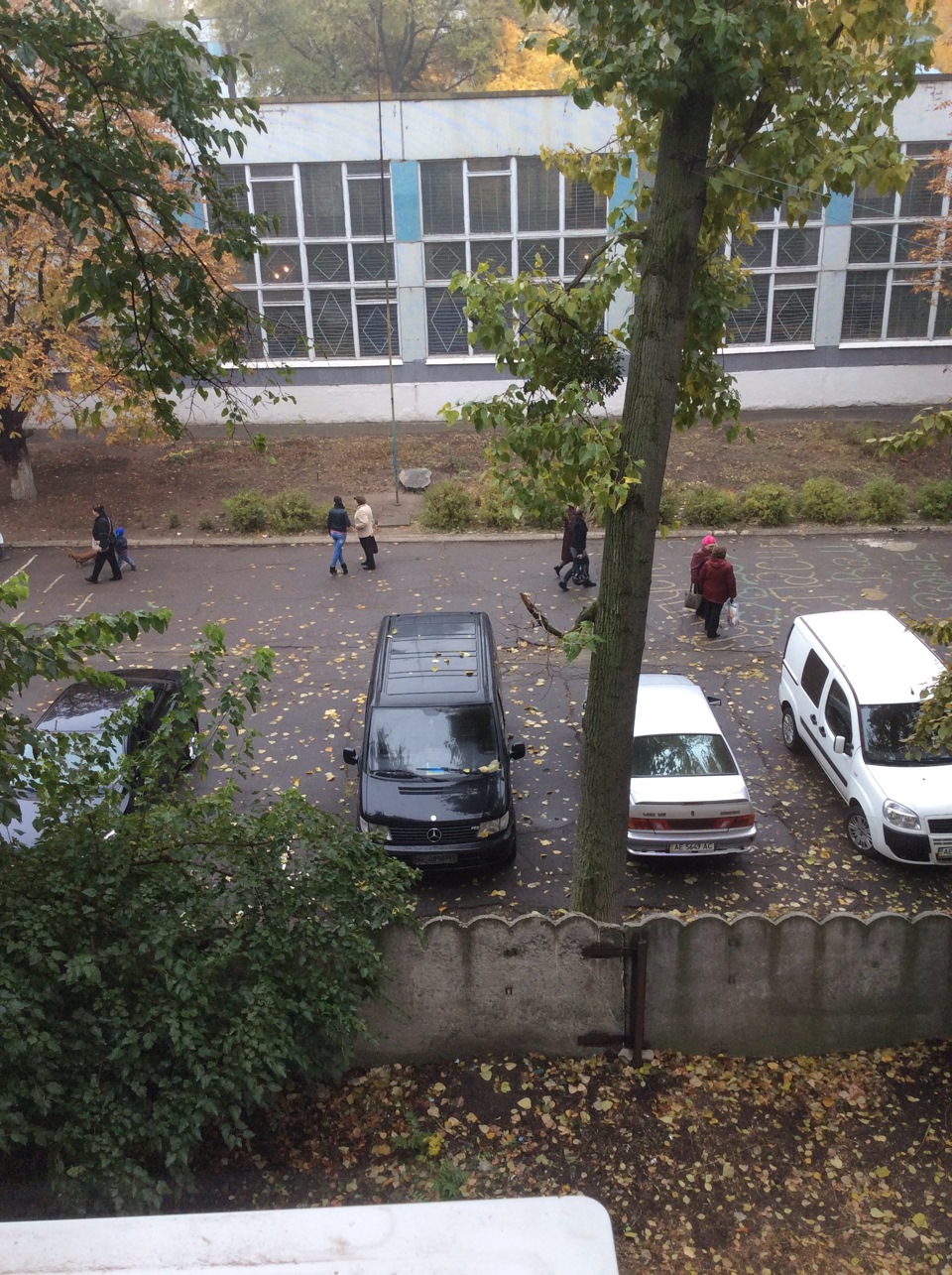 Повернення блудного папуги 4