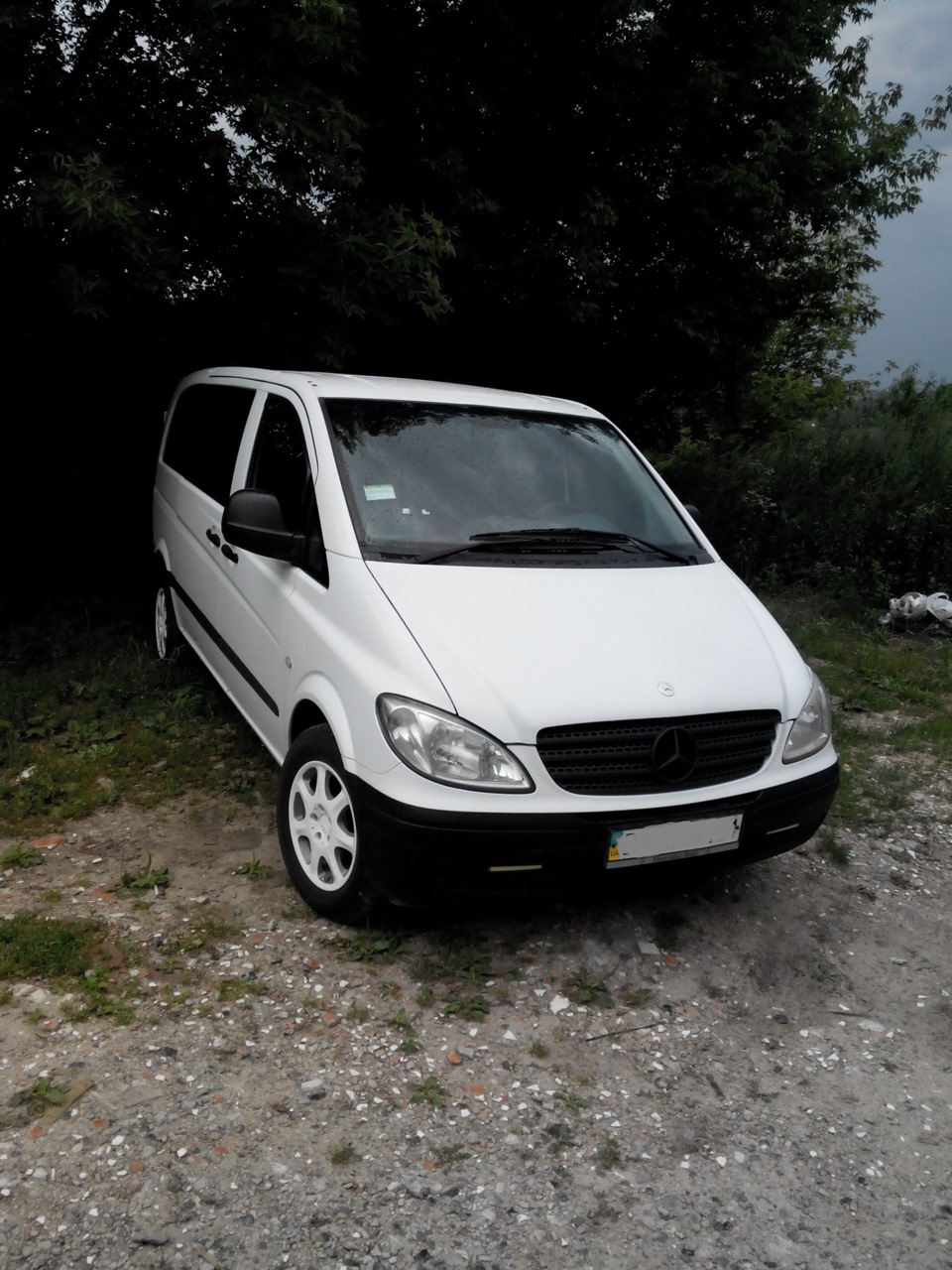 Обтяжка решітки в карбон Vito 3