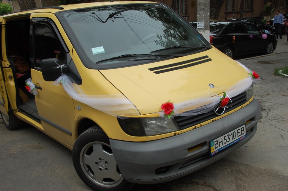 Всі Вітьки проходять через ЦЕ! 1